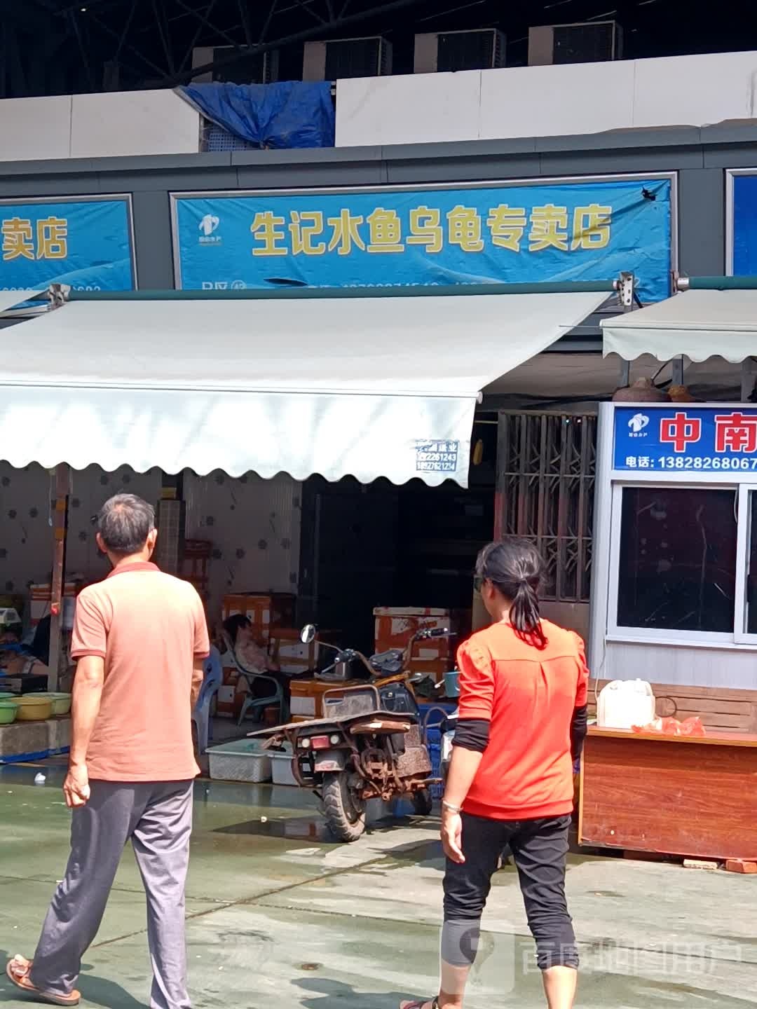 生记水鱼乌龟专卖店(霞山水产品批发市场批发区店)