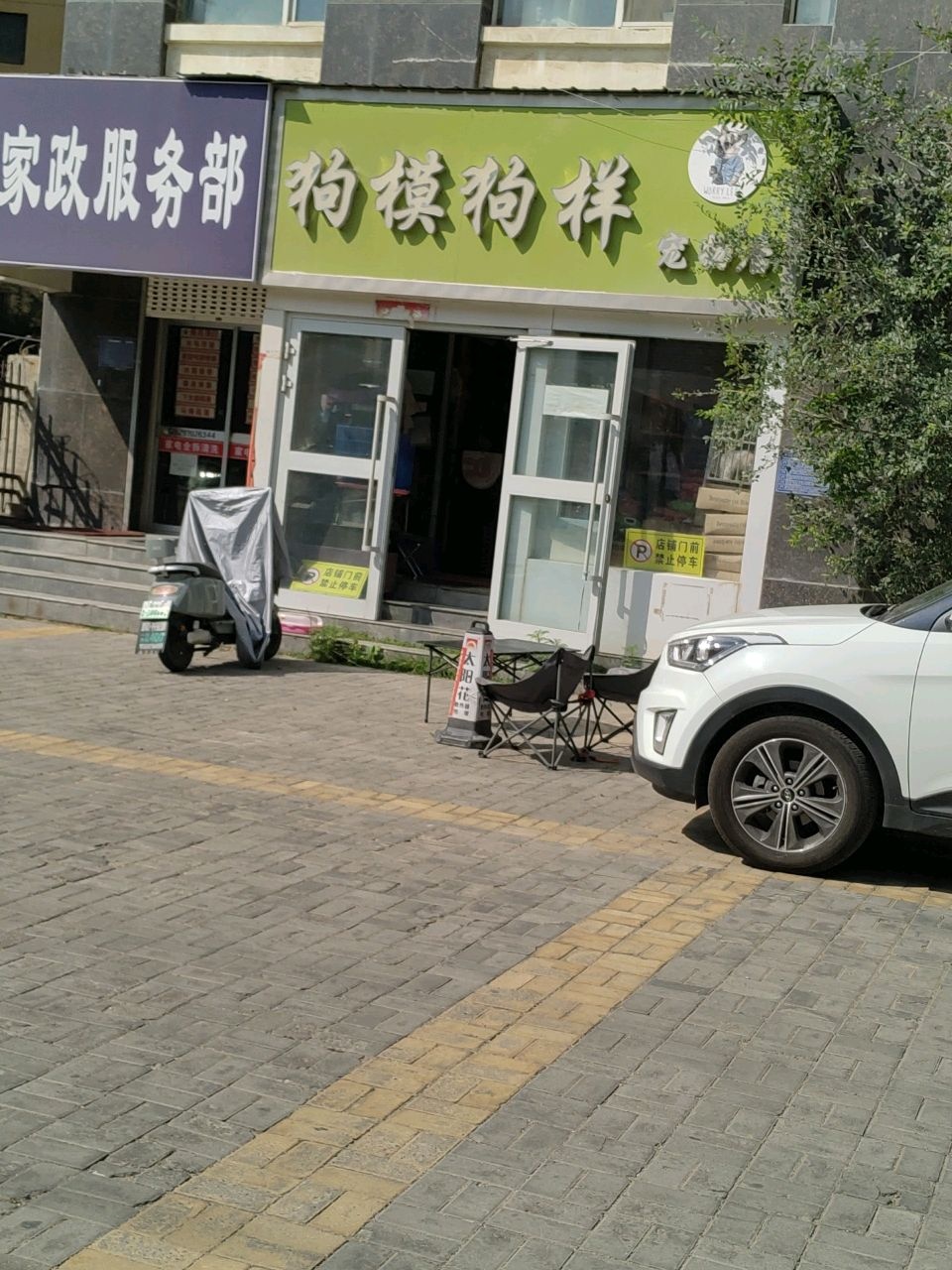 狗模狗样宠物店