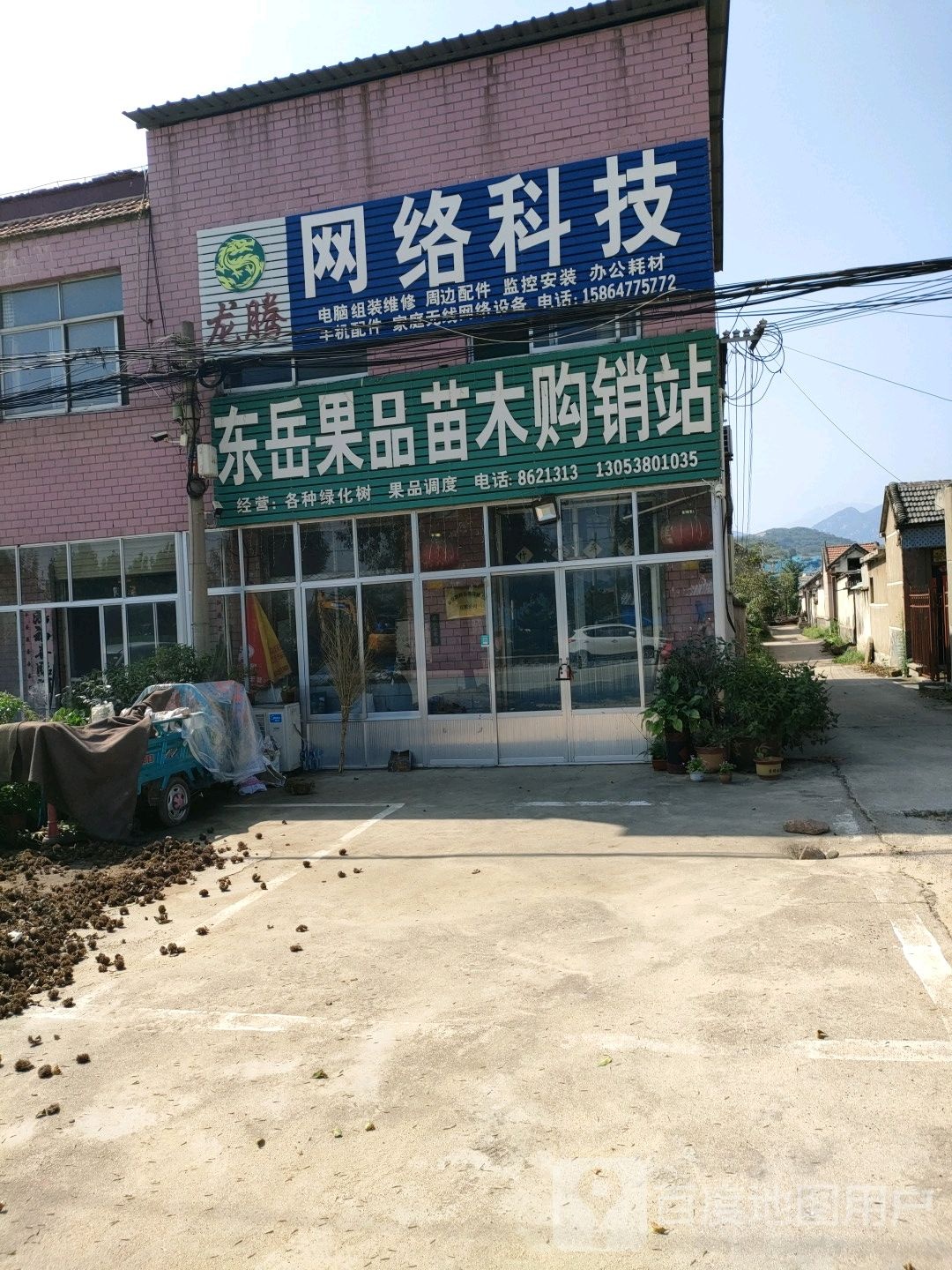 东岳果品苗木购销站