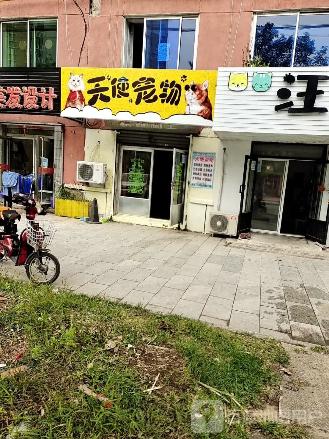 天使宠物(太和北街店)