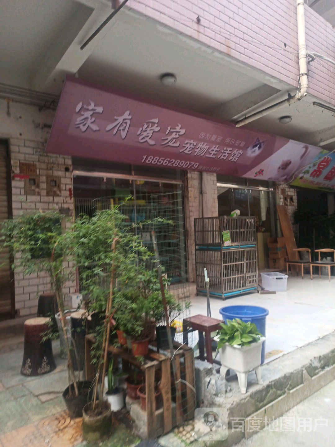 家有爱宠宠物生活馆(银杏商贸城店)