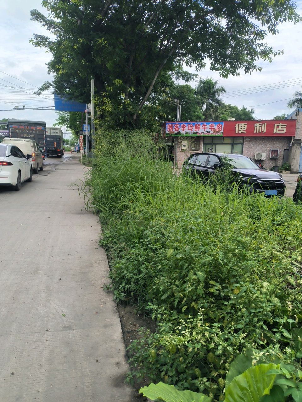 杰杰便利店