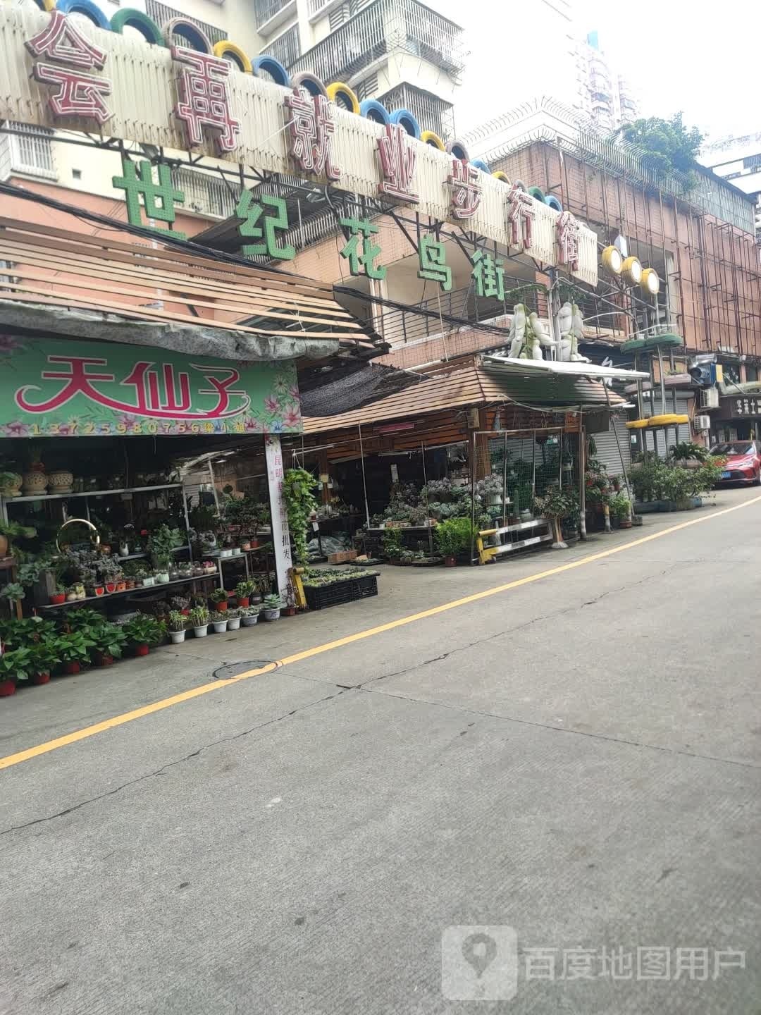 天仙子