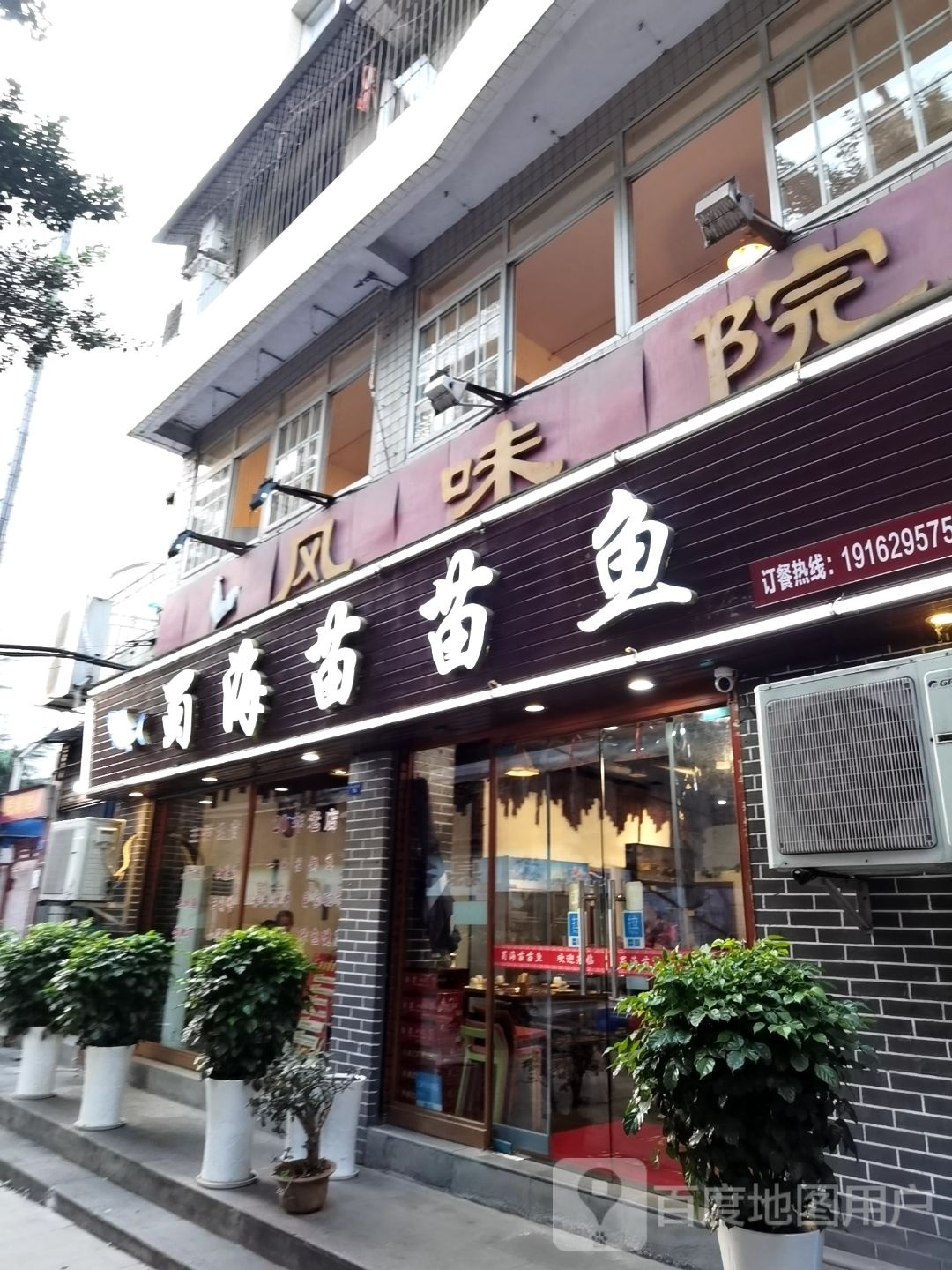 蜀海苗苗鱼