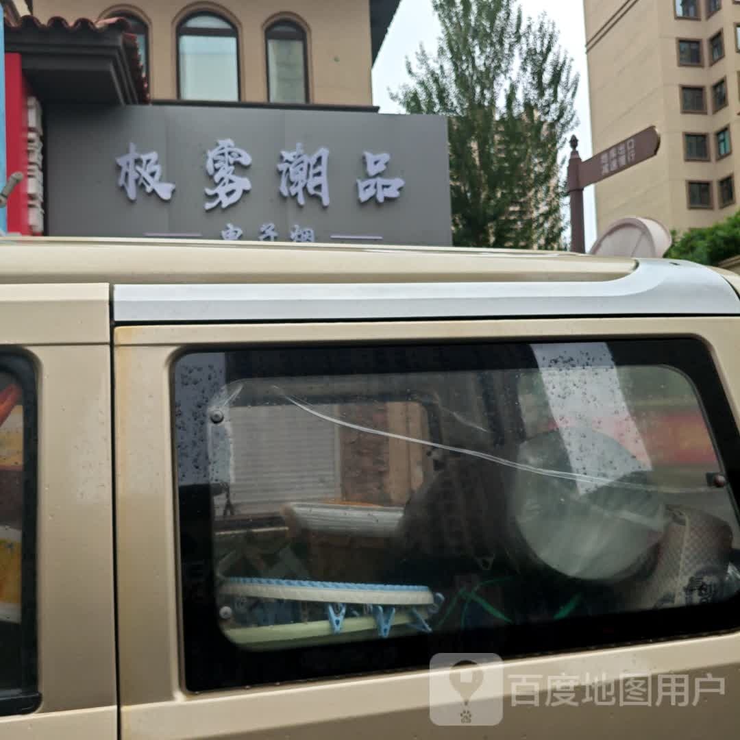 极雾潮品电子烟