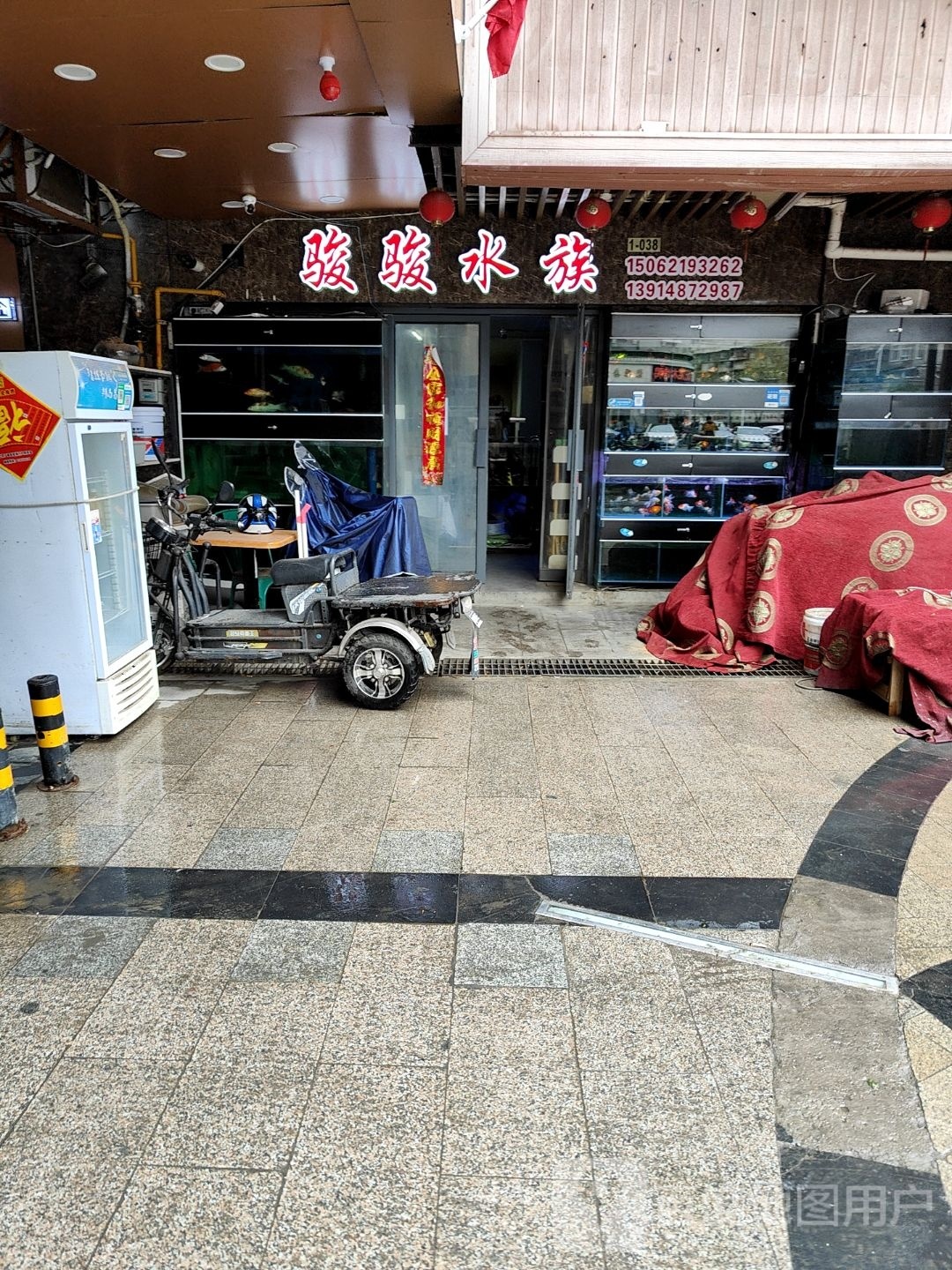 骏骏水景