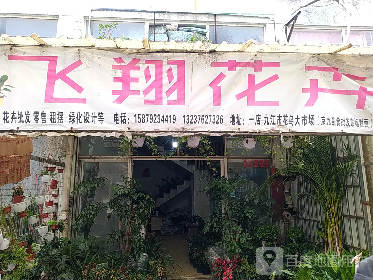 飞翔花卉