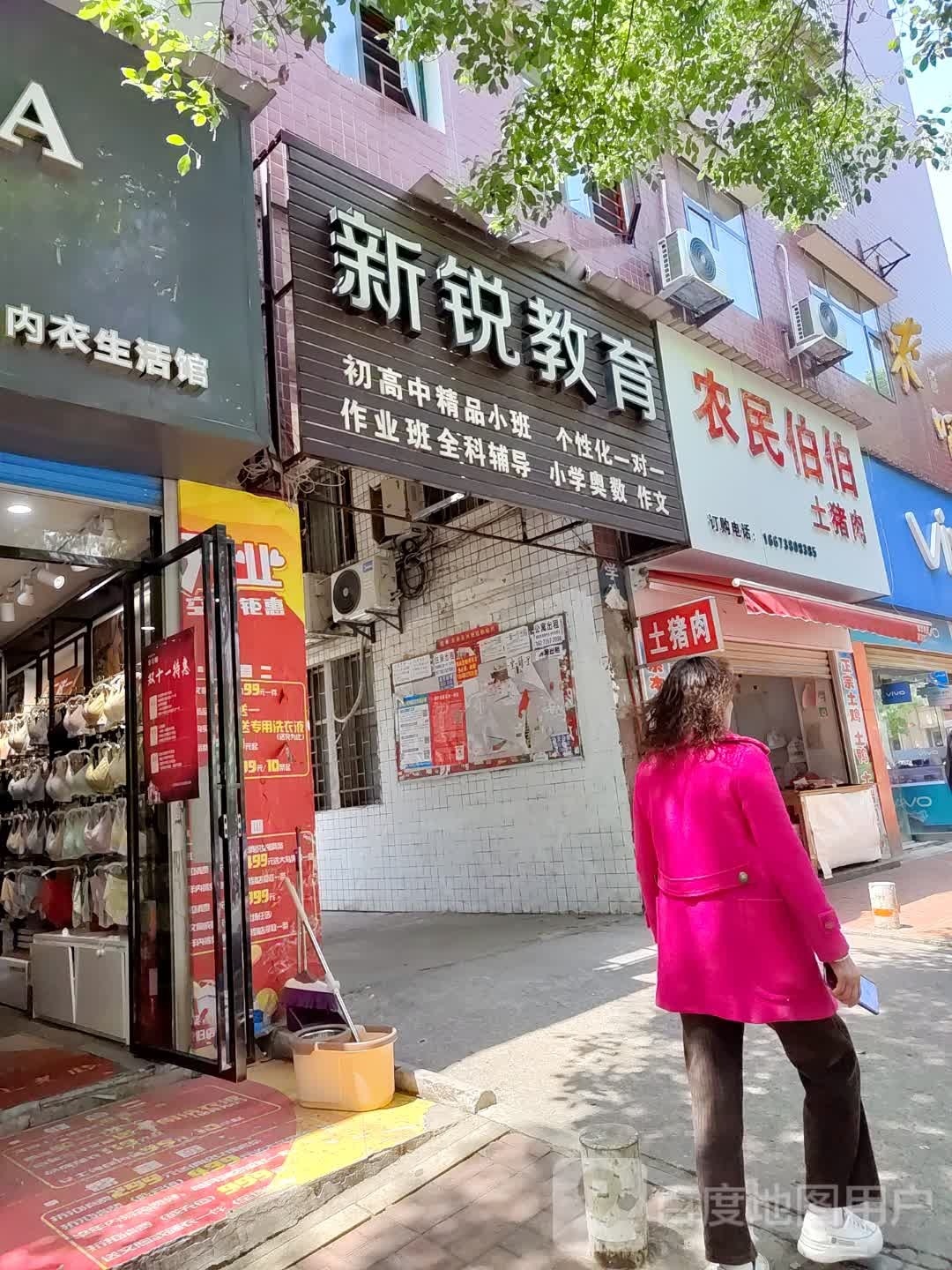 新锐教育