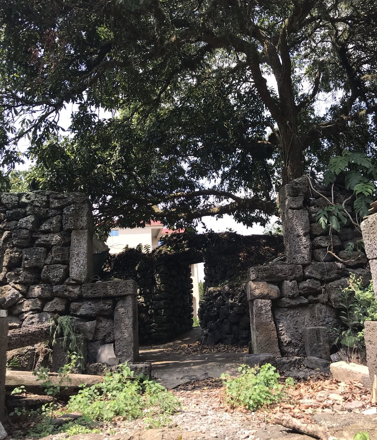 羊山美孝火山文化旅游区