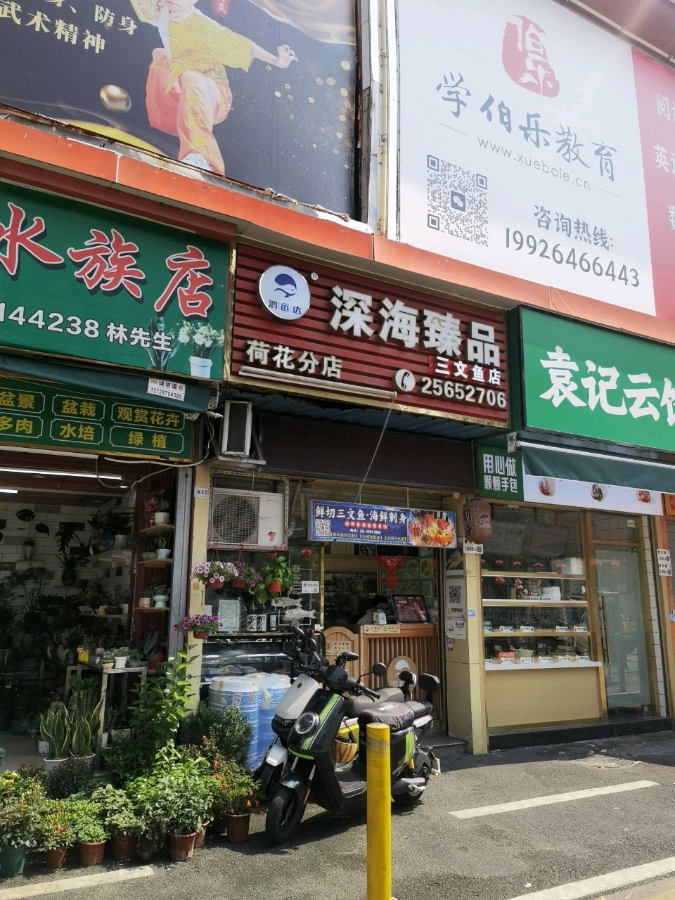 荷花水族店