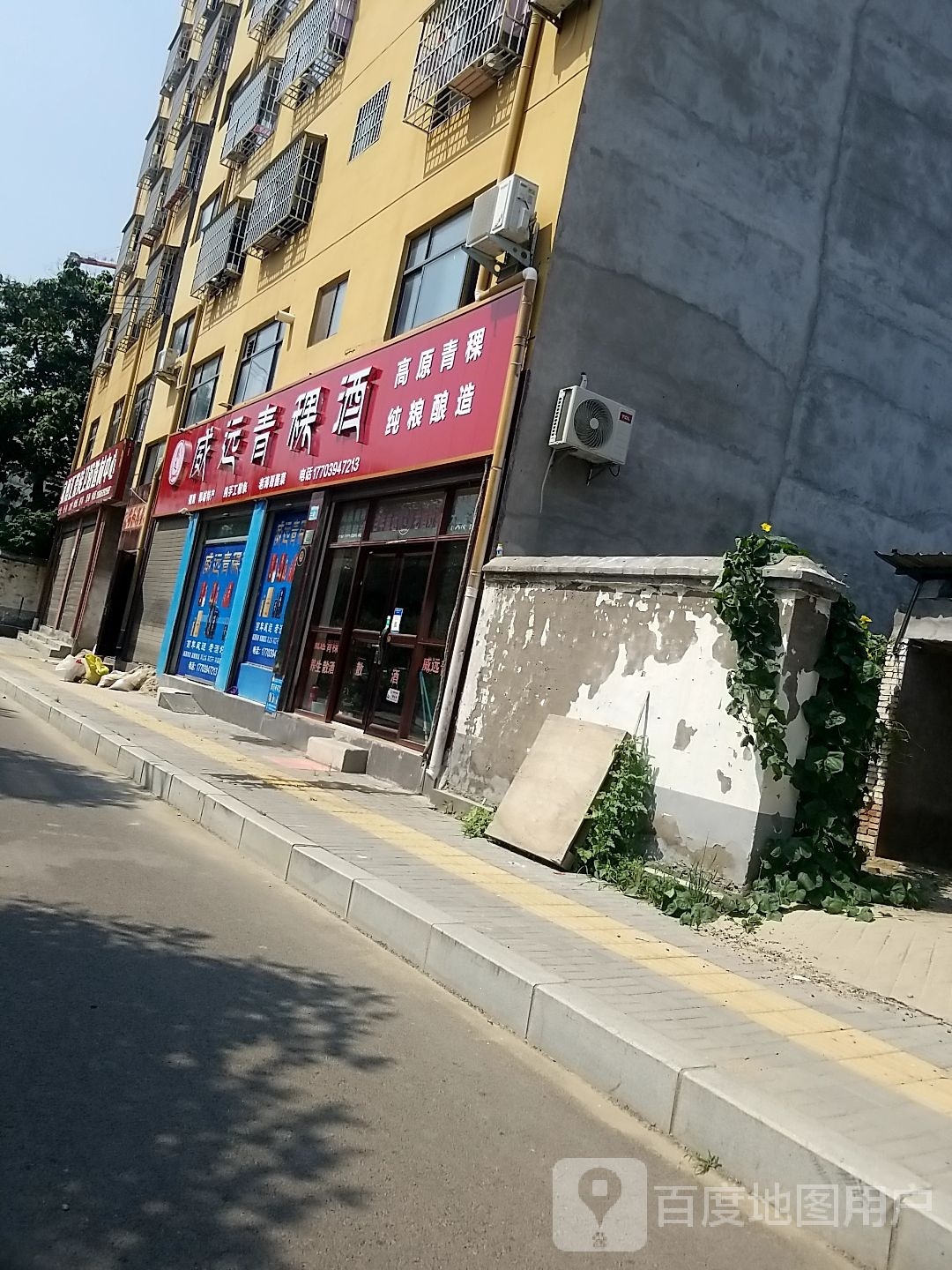 郸城县威远青粿酒专卖店(世纪大道店)