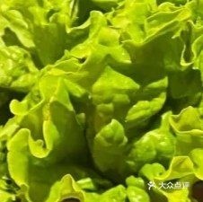 隐园(庭院式烤肉)