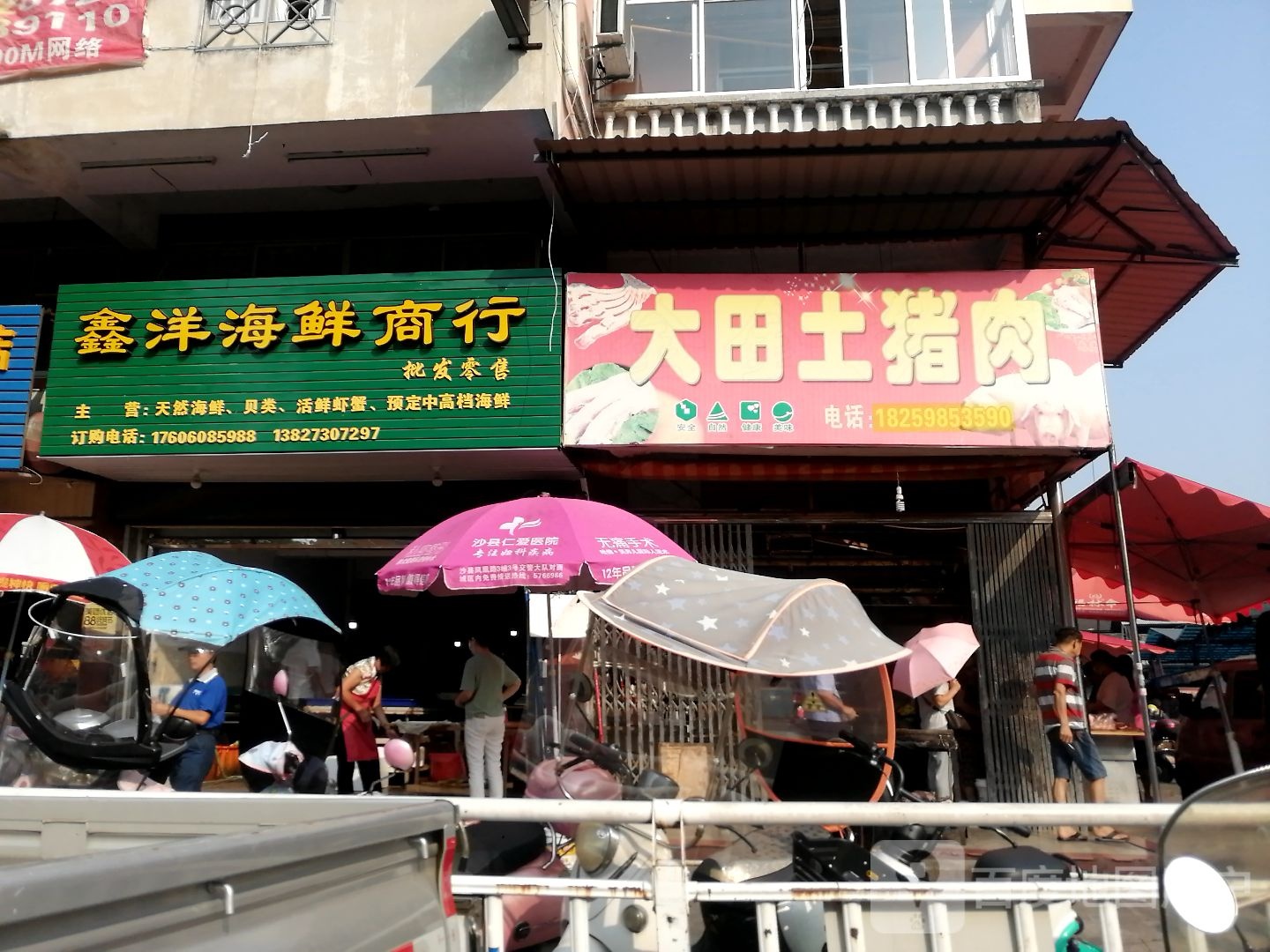 鑫洋海鲜商行