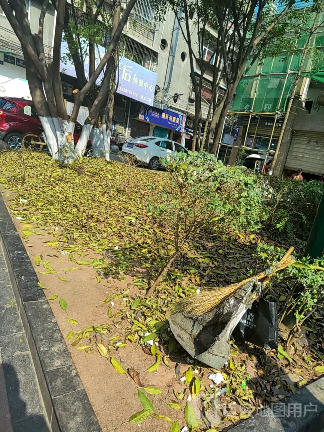 藏浴熏蒸