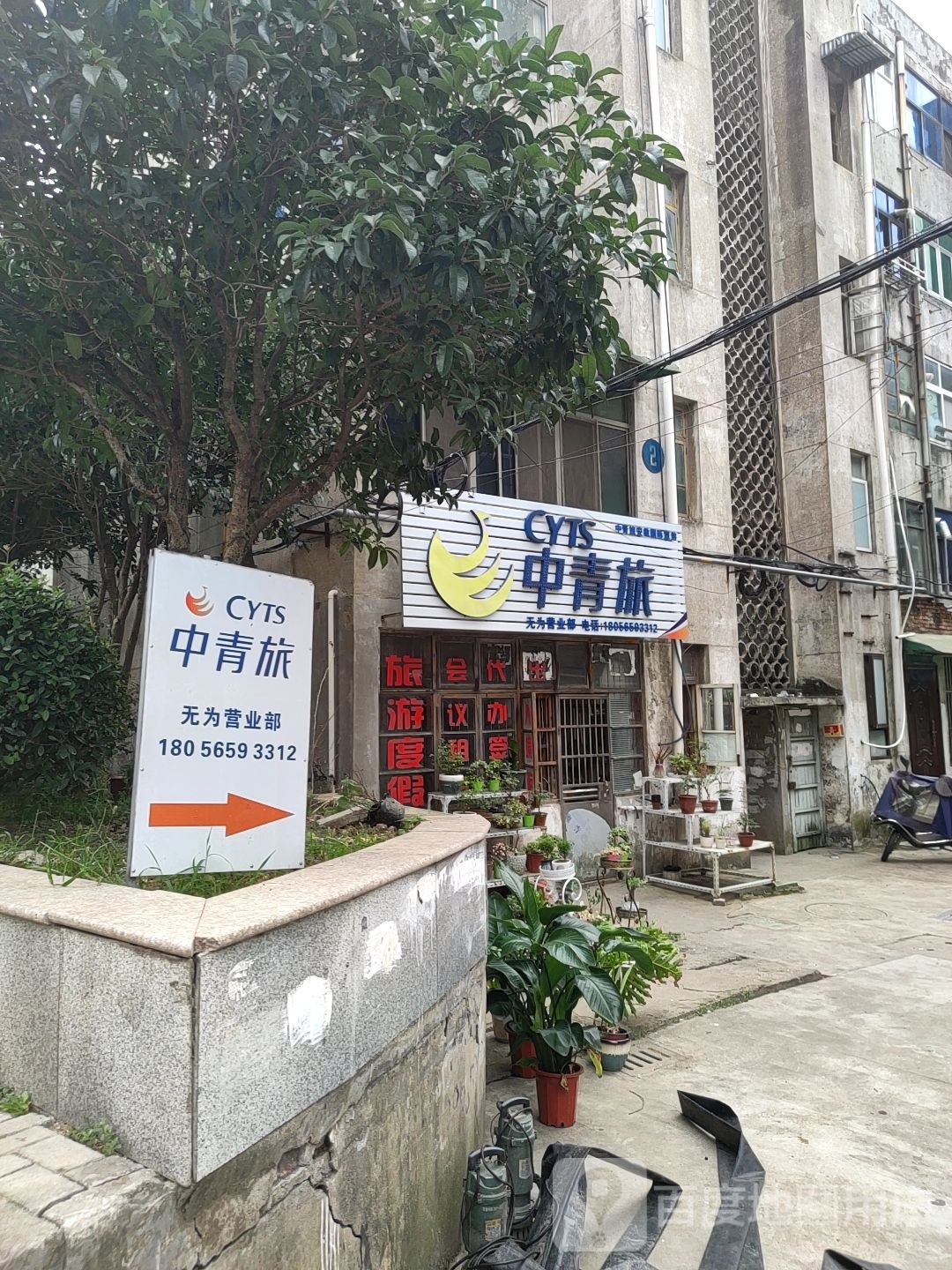 中青旅(无为营业部)