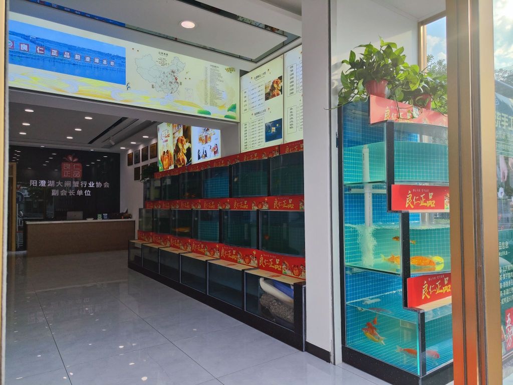 良仁正品阳橙湖大闸蟹(廊坊金光道店)