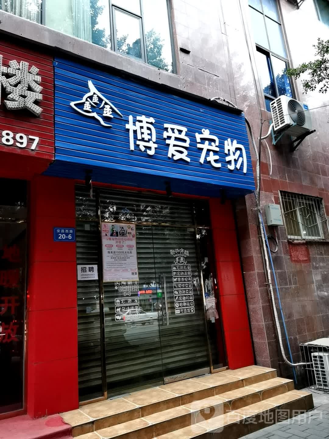 博爱宠物