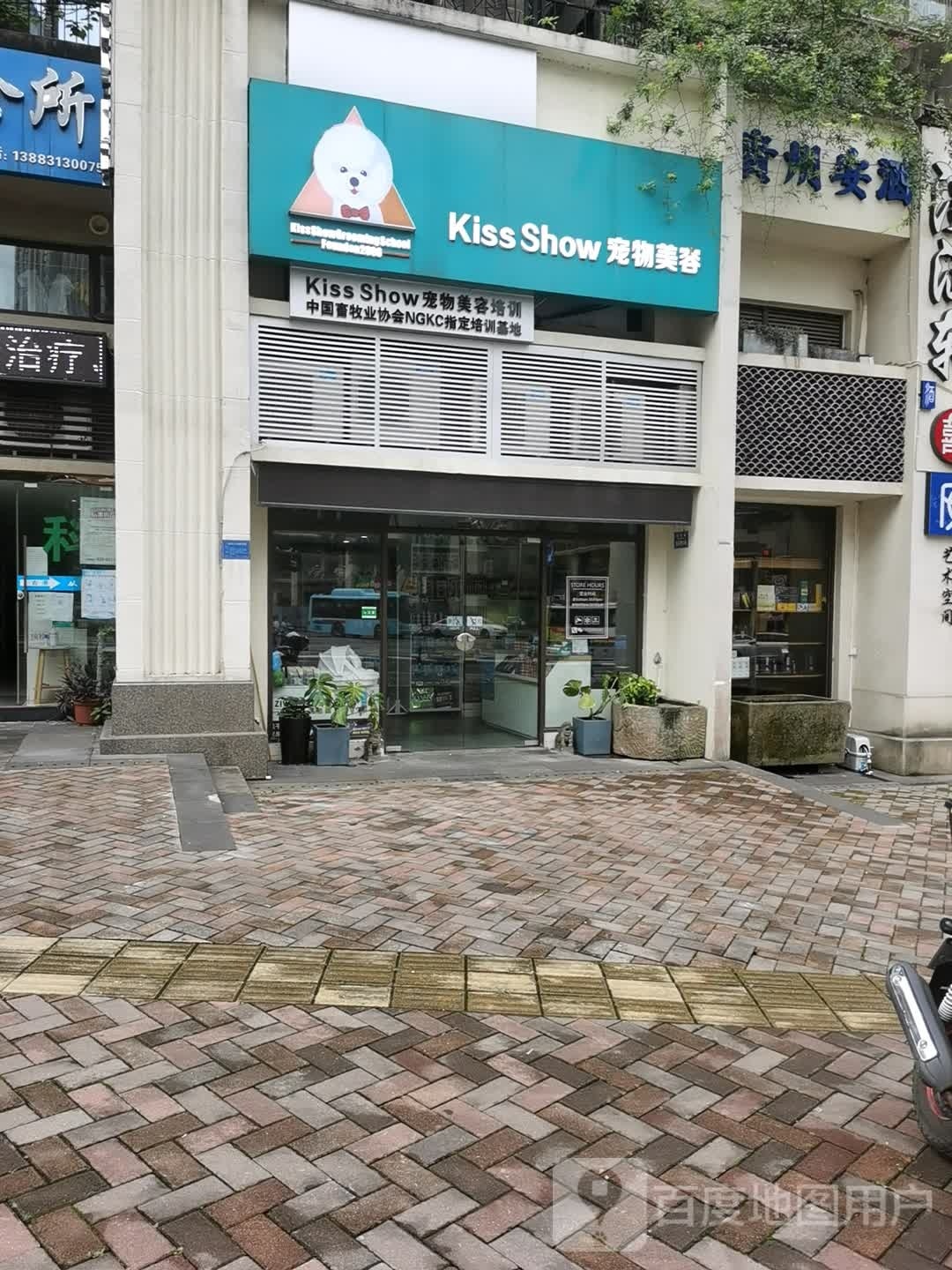 kiss Show宠物美容