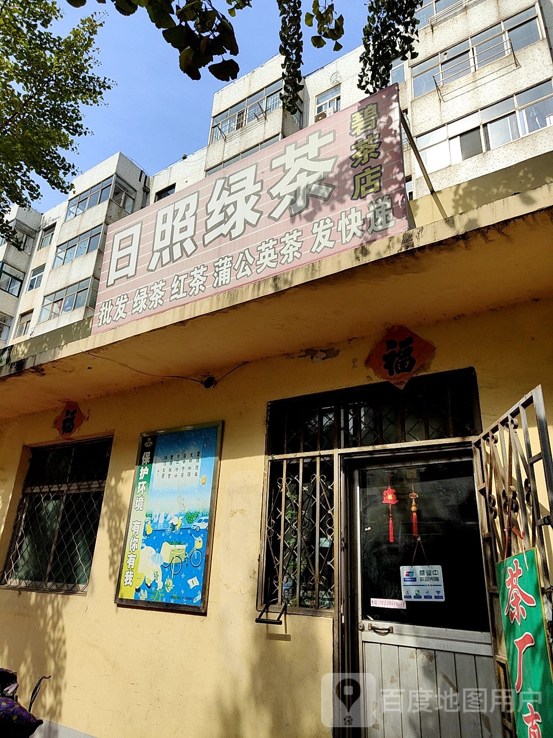 日照绿茶(碧茶店)