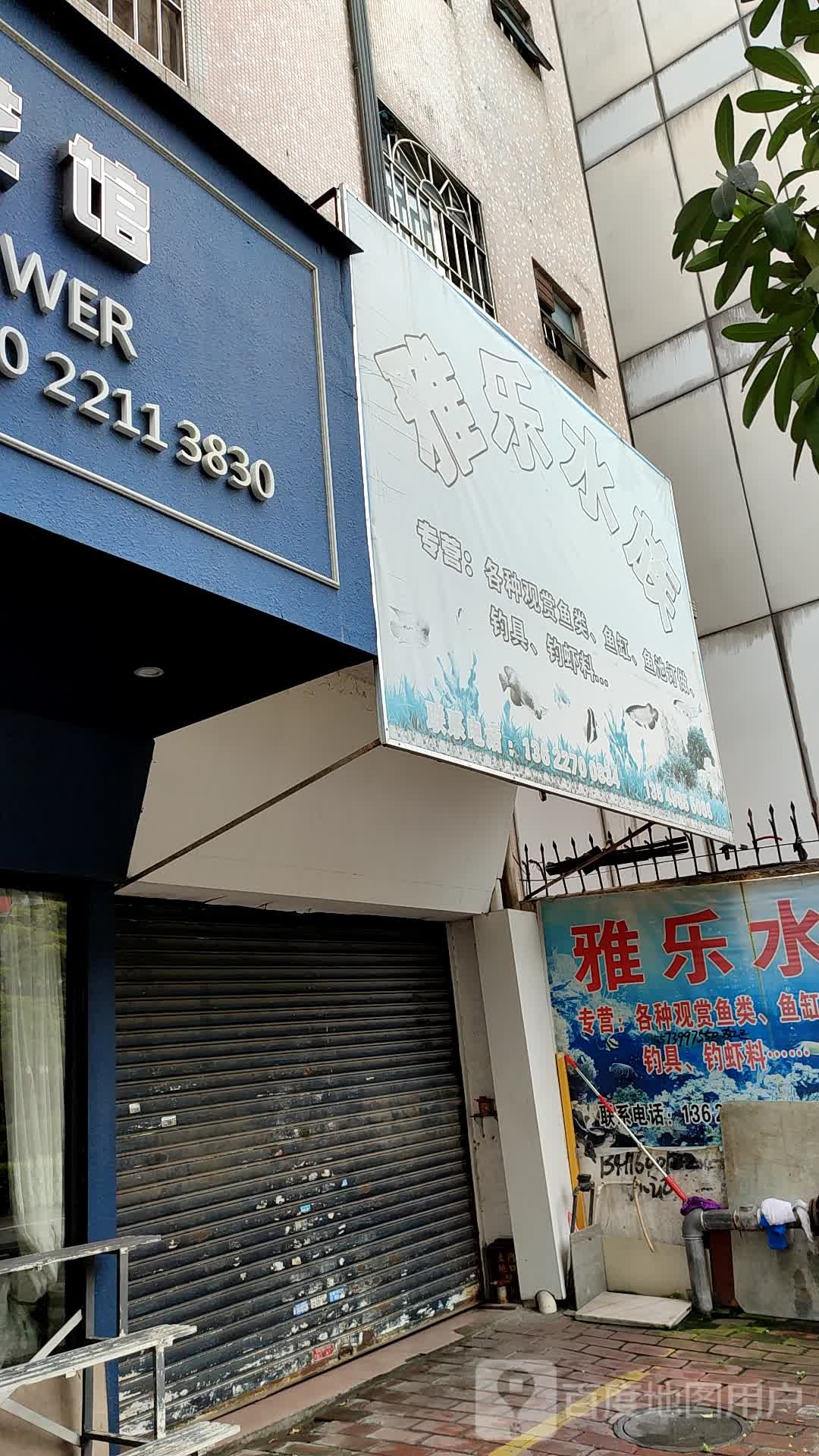 雅乐水族(金港路店)