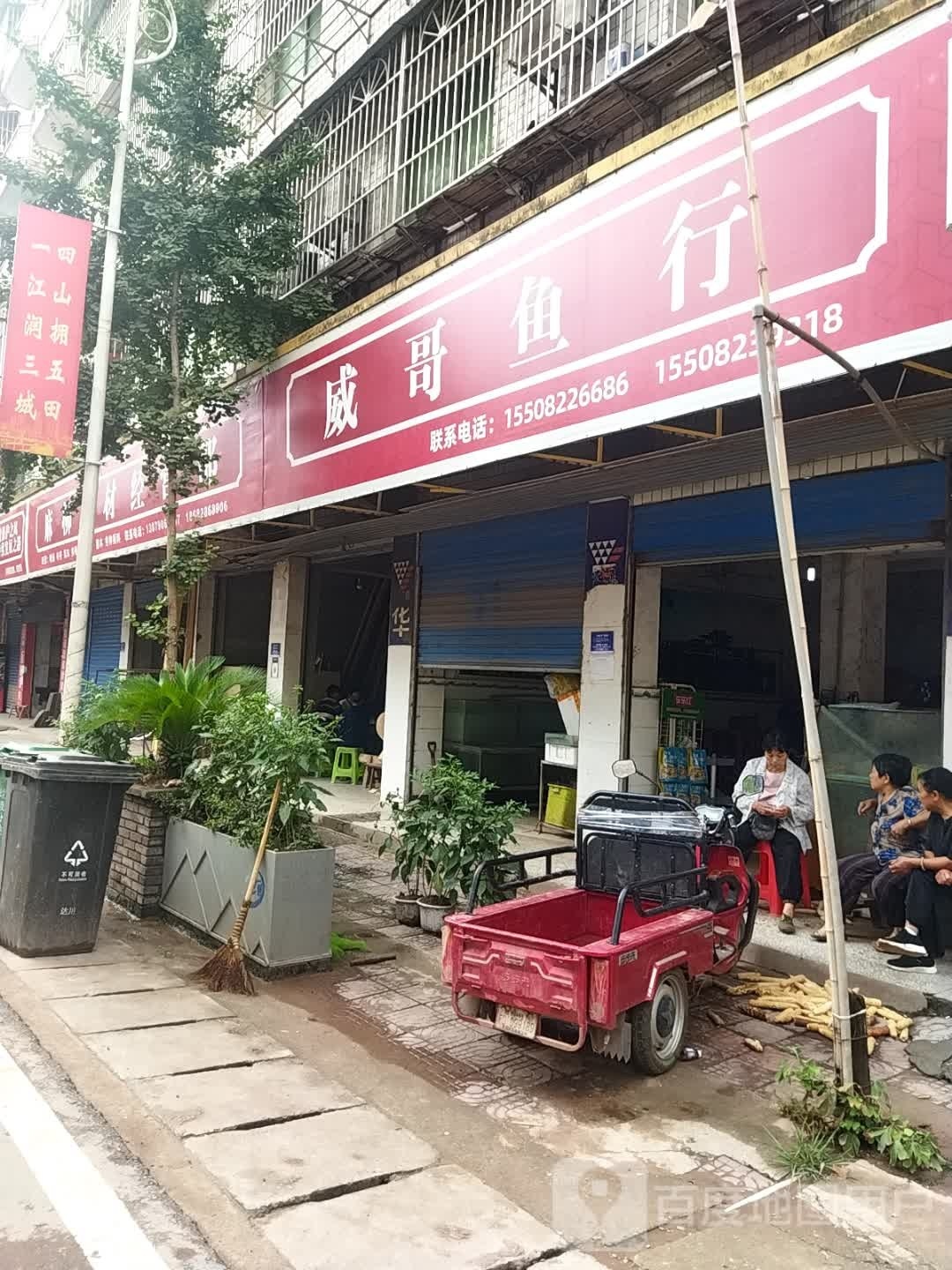 威哥鱼行