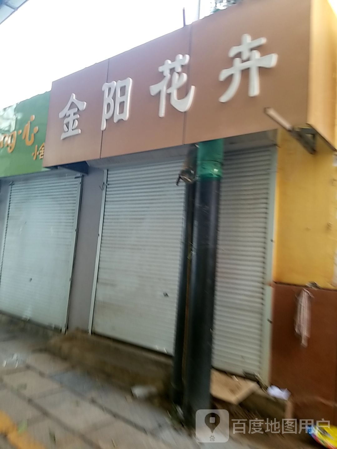金阳花卉