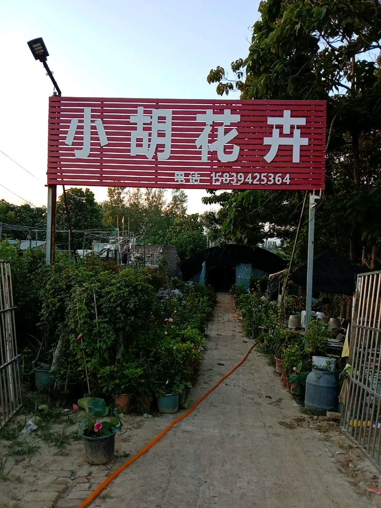 项城市小胡花卉