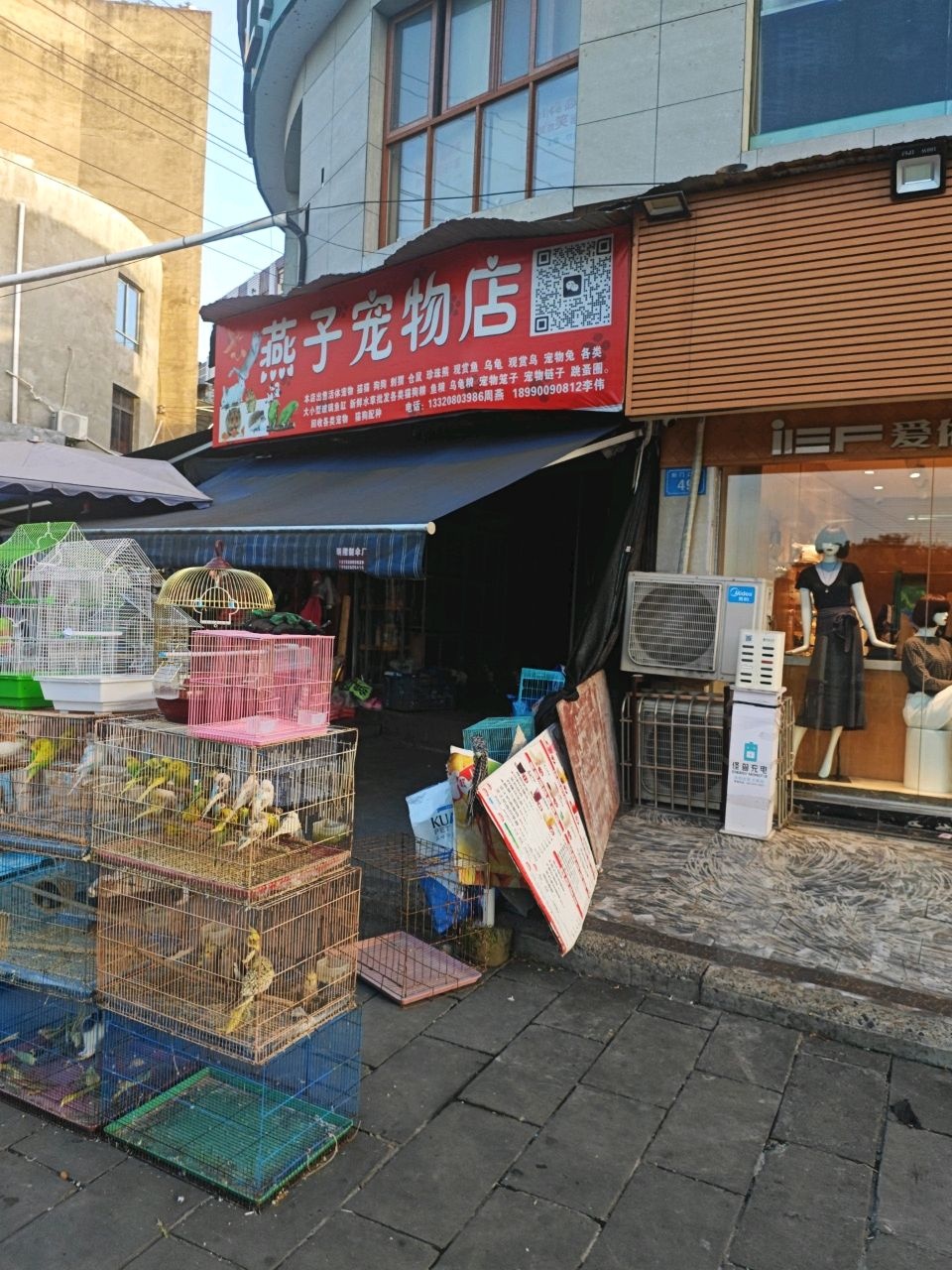 燕子宠物店