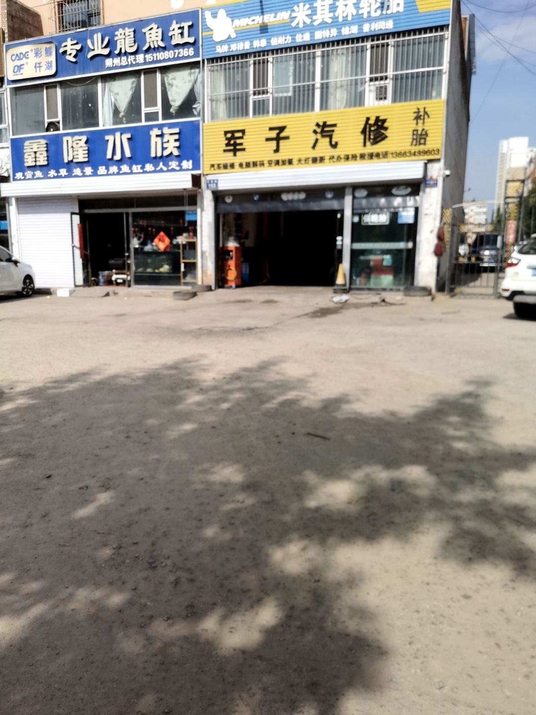 专业龙鱼缸
