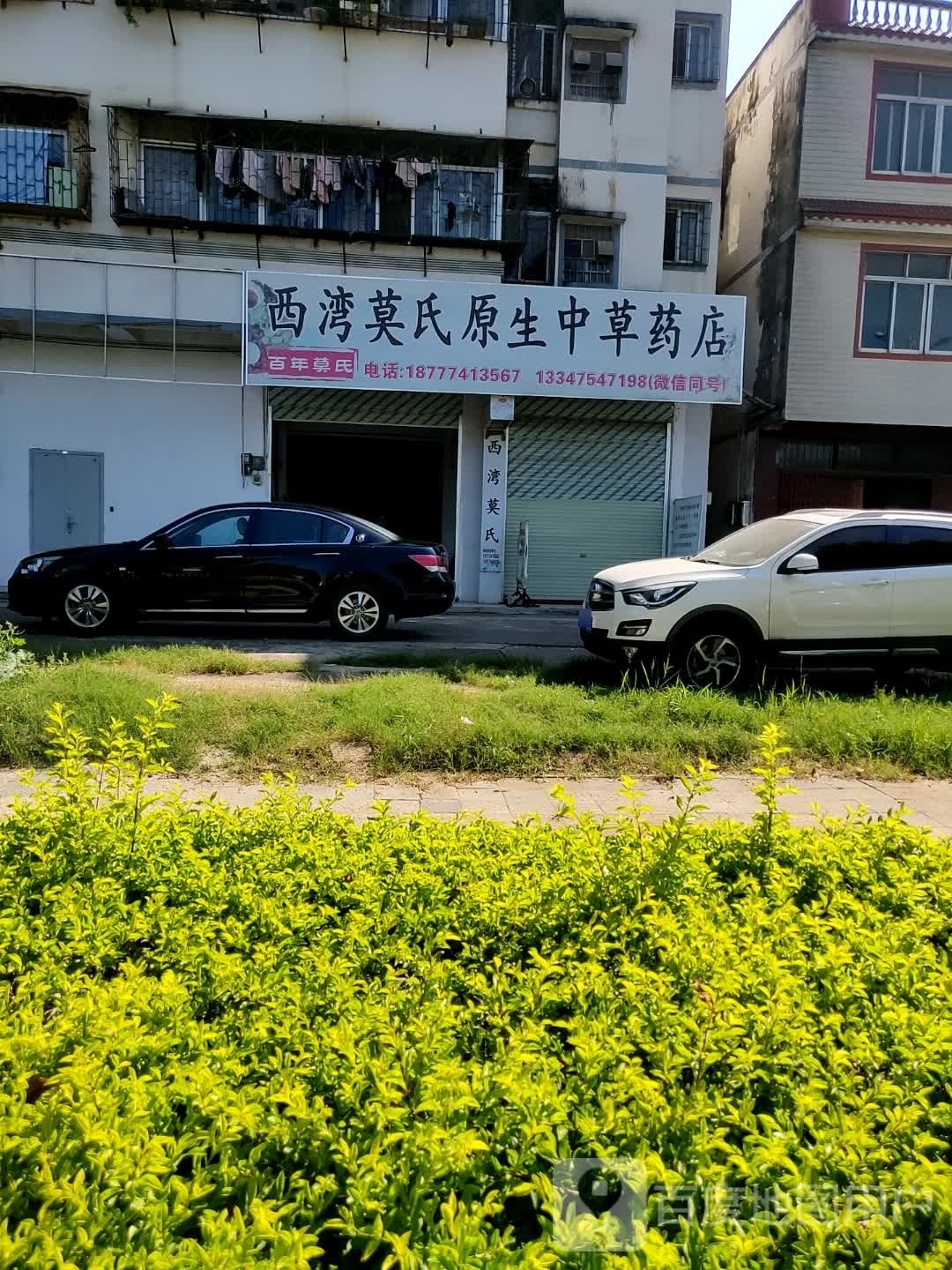 西湾莫氏原生中草药店