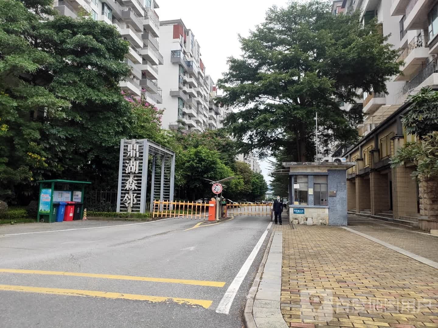 鼎湖深邻游泳馆
