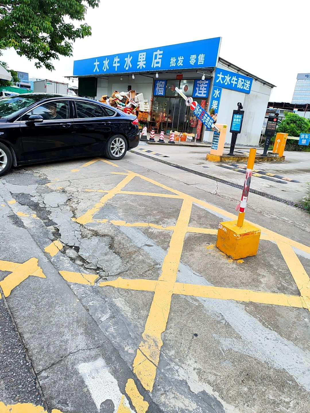 大水牛水果店