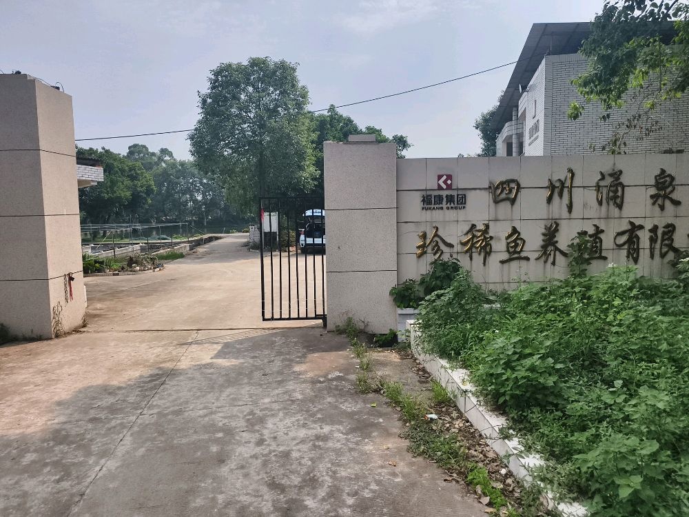 涌泉珍稀鱼百斤巨物钓场