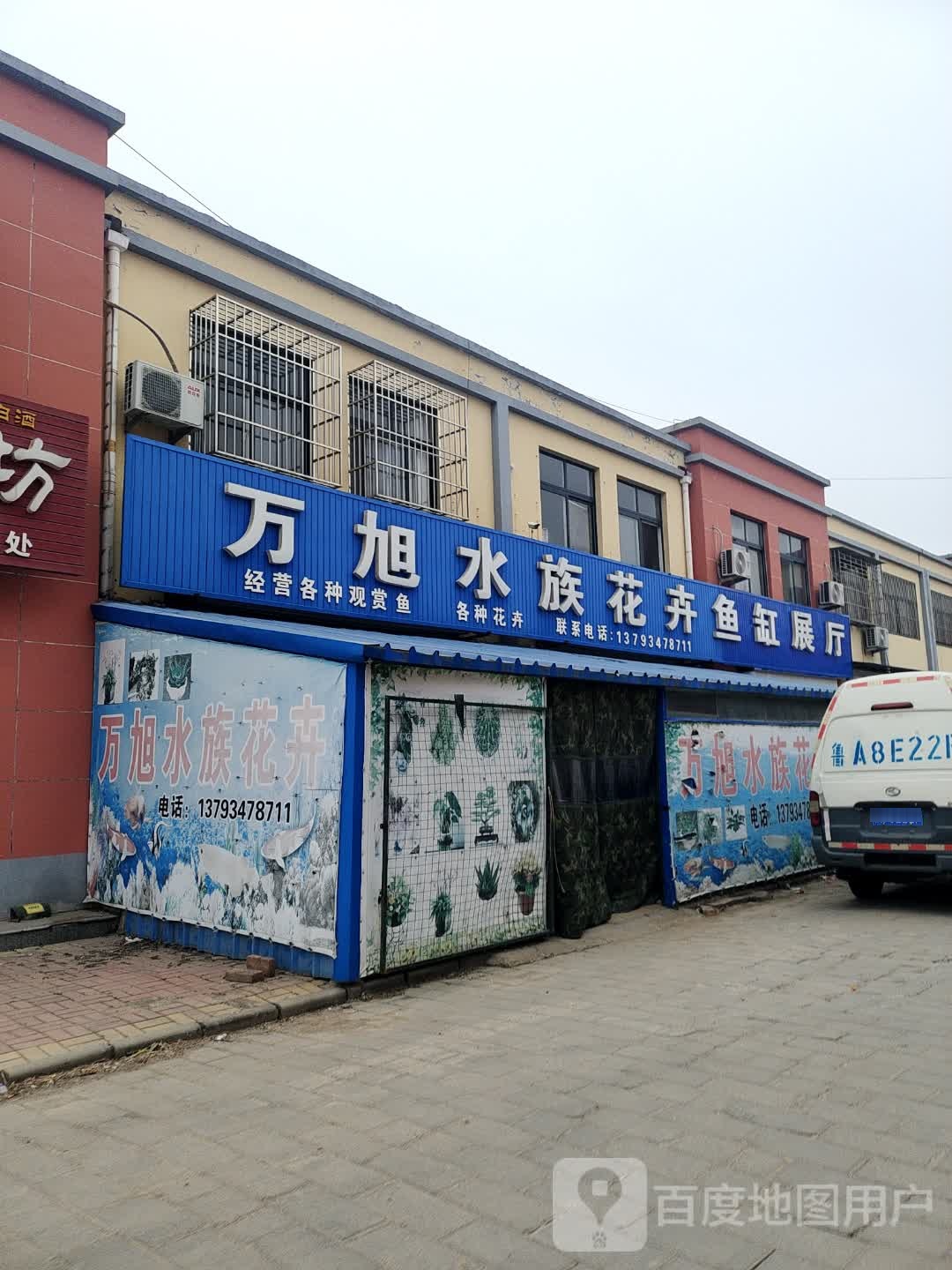 万旭水族花卉鱼缸展厅