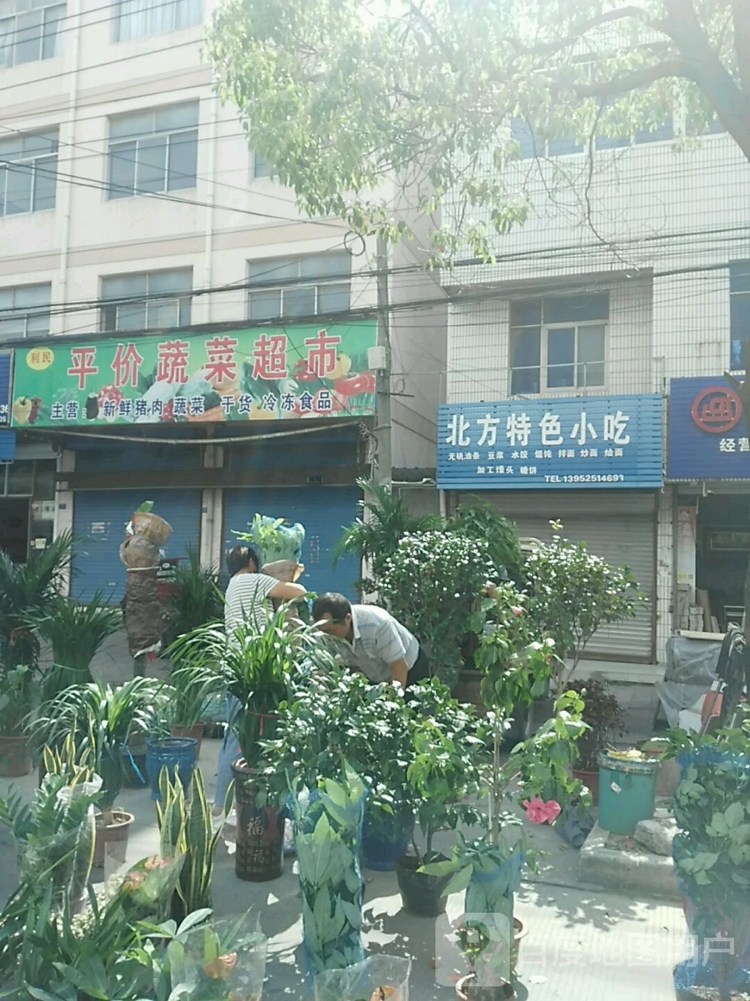 利民平价蔬菜超