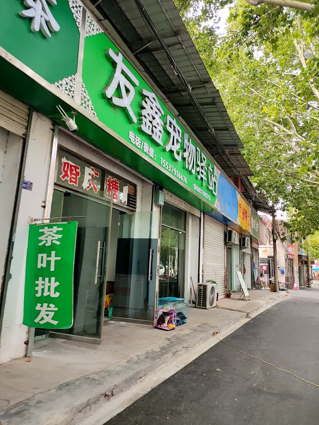 友鑫宠物托运