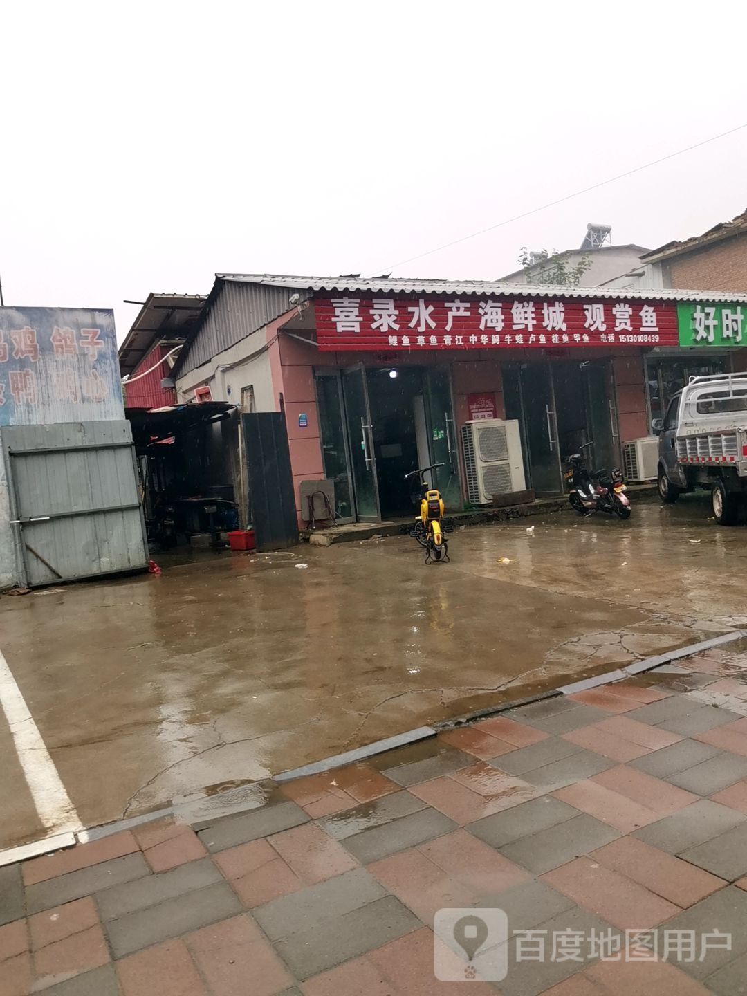 喜录水产海鲜城观赏鱼