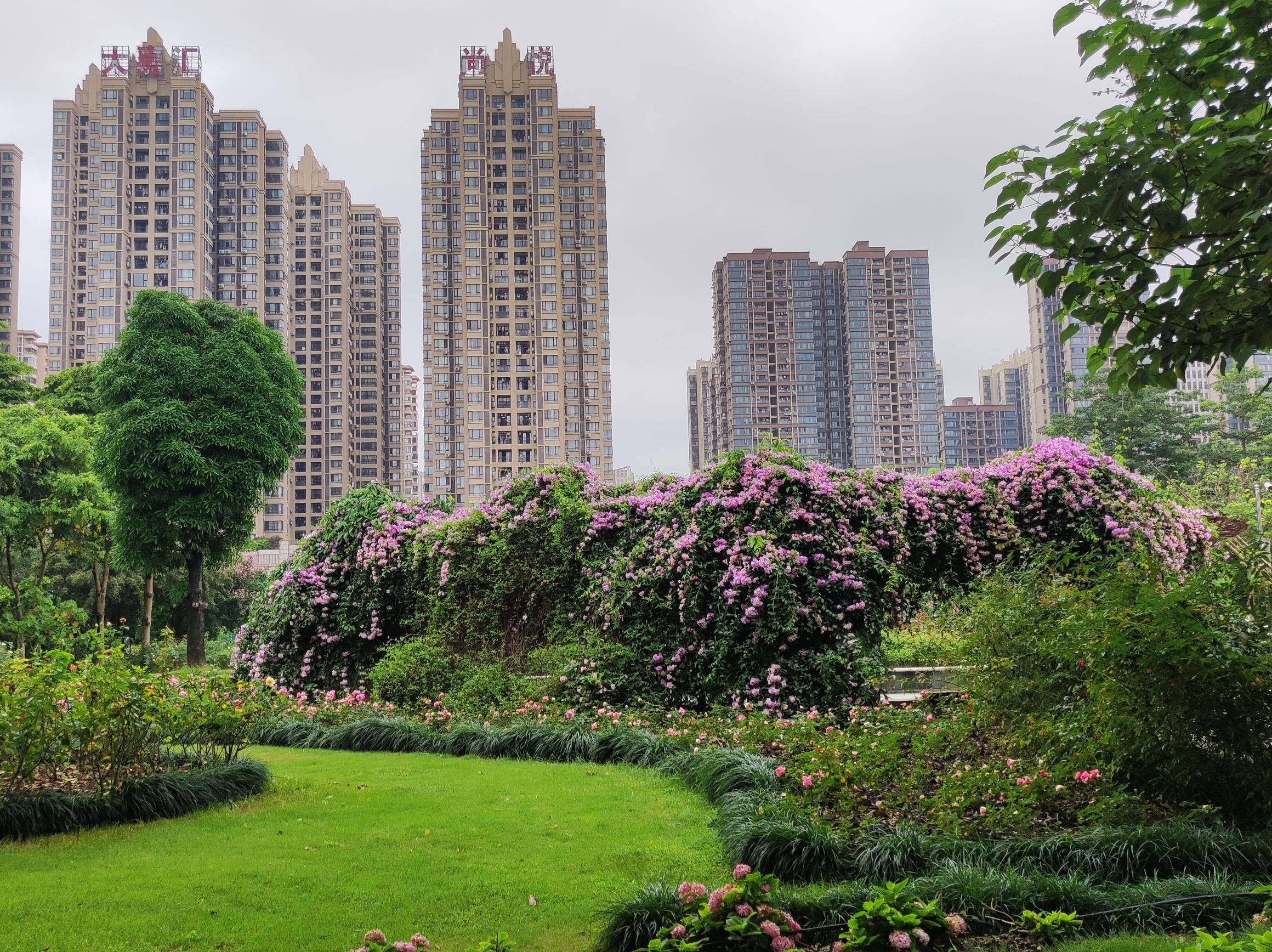 南宁市花卉公园