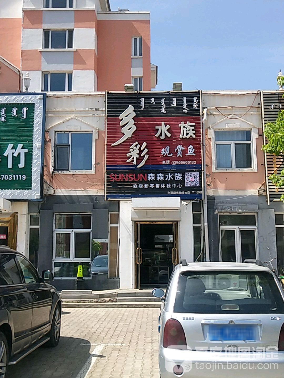 多彩水族观赏鱼