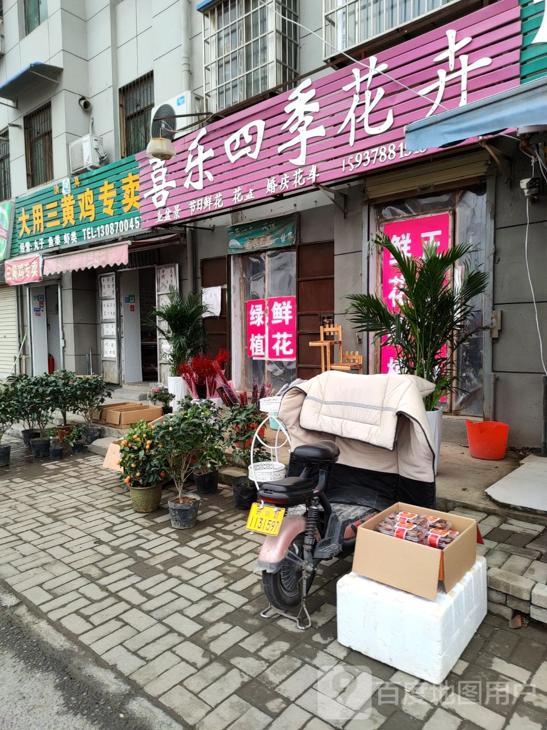 喜乐四季花卉