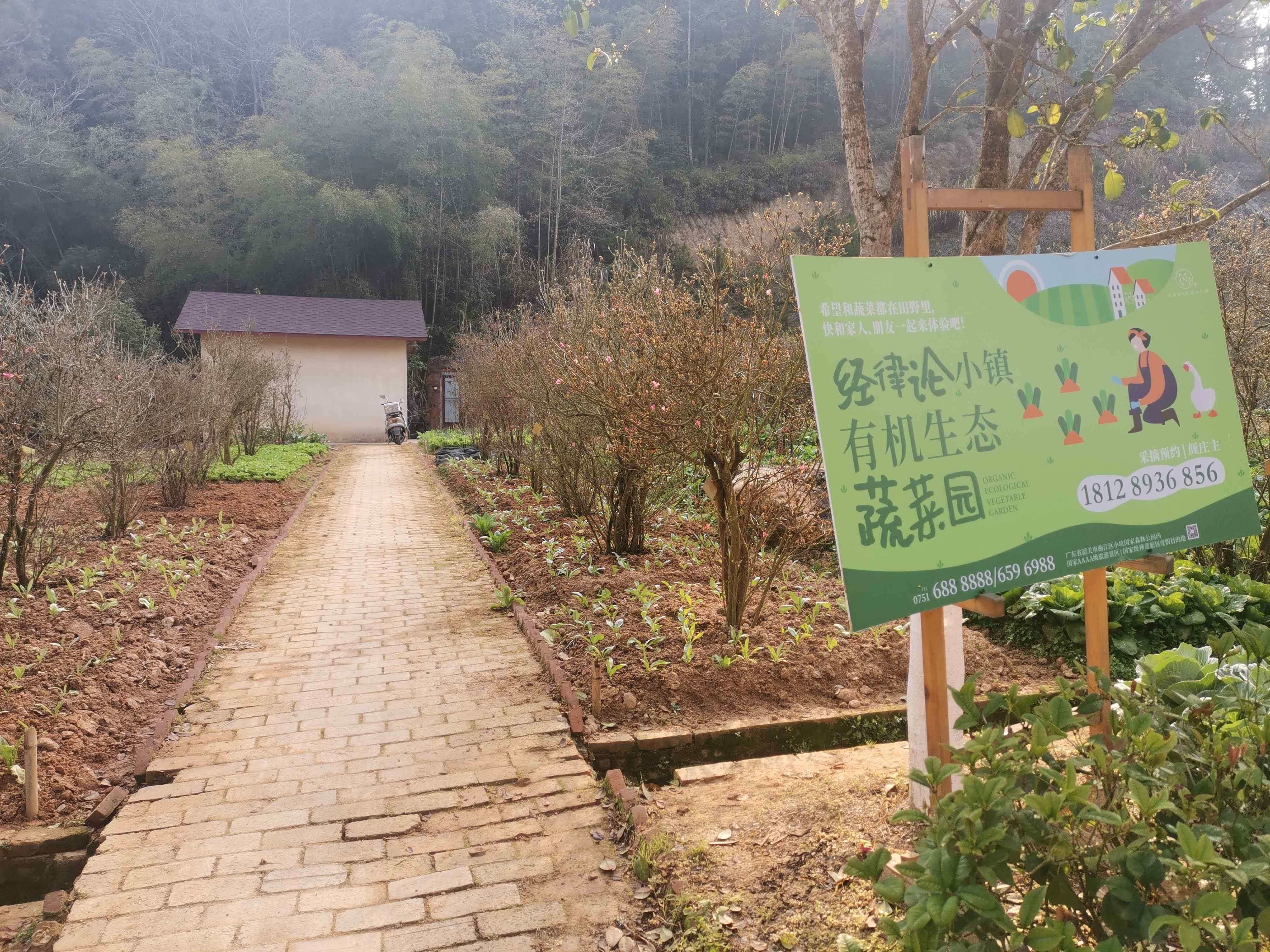 经律论小镇有机生态蔬菜园