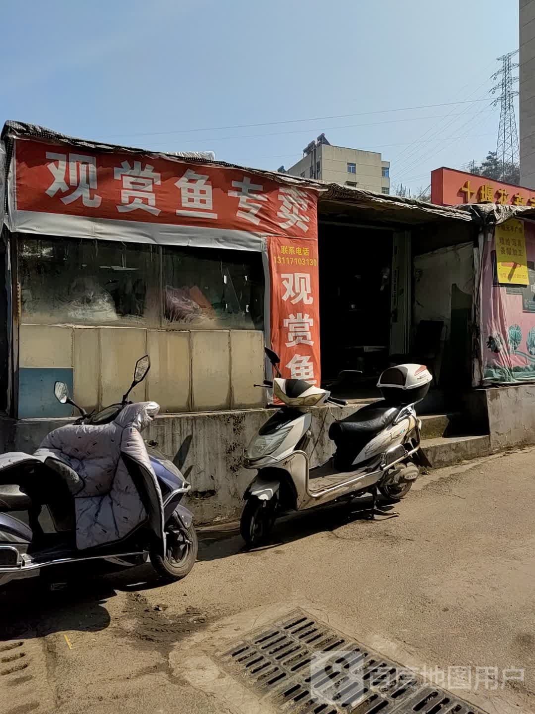 观赏鱼专卖