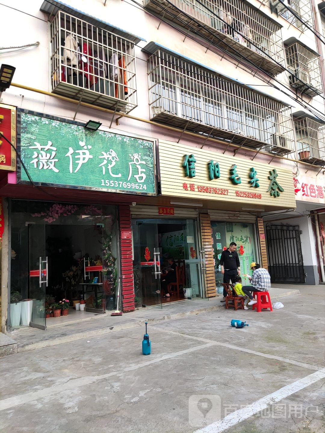 信阳毛尖茶(民乐路店)