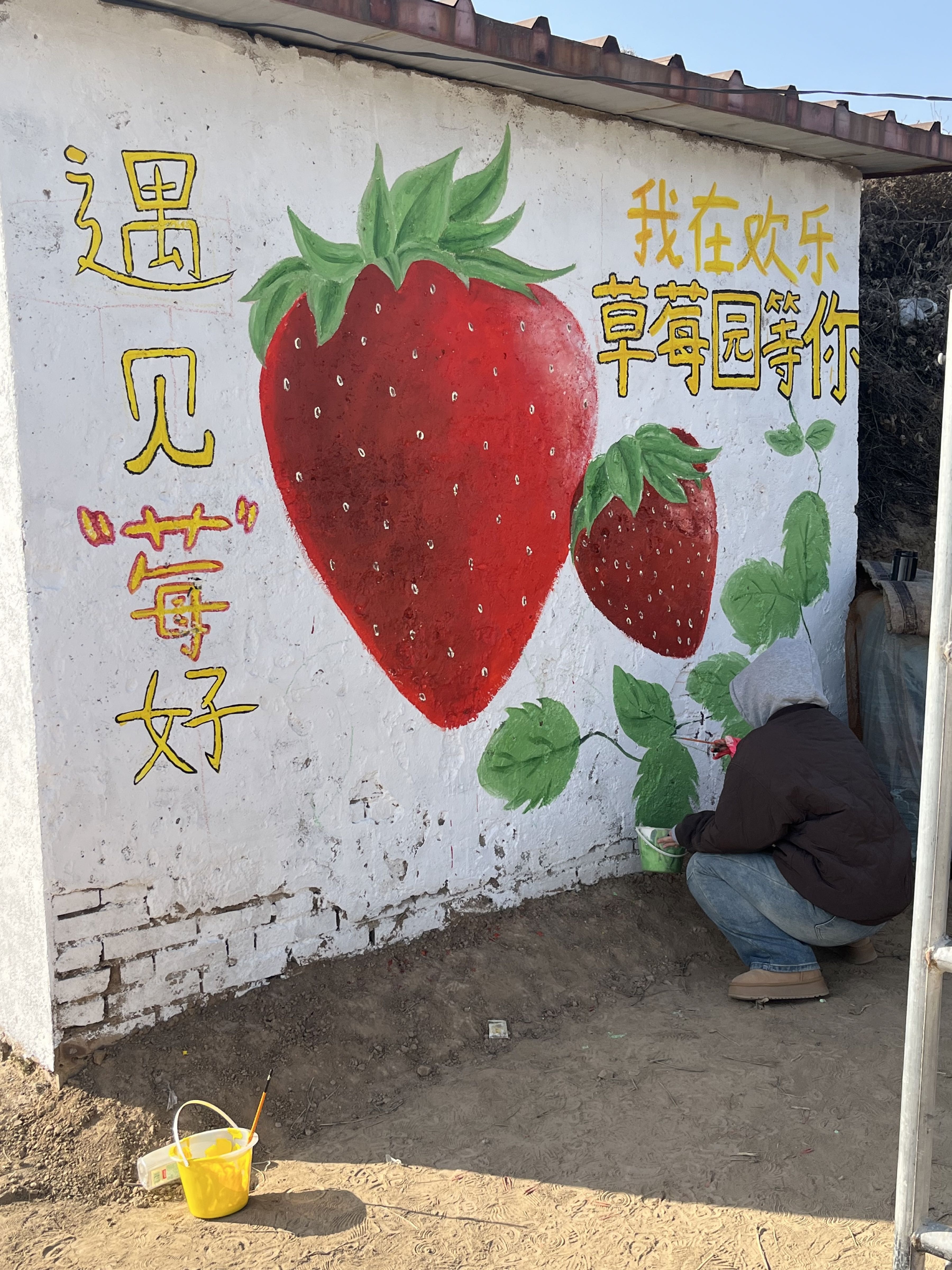 欢乐草莓采摘园