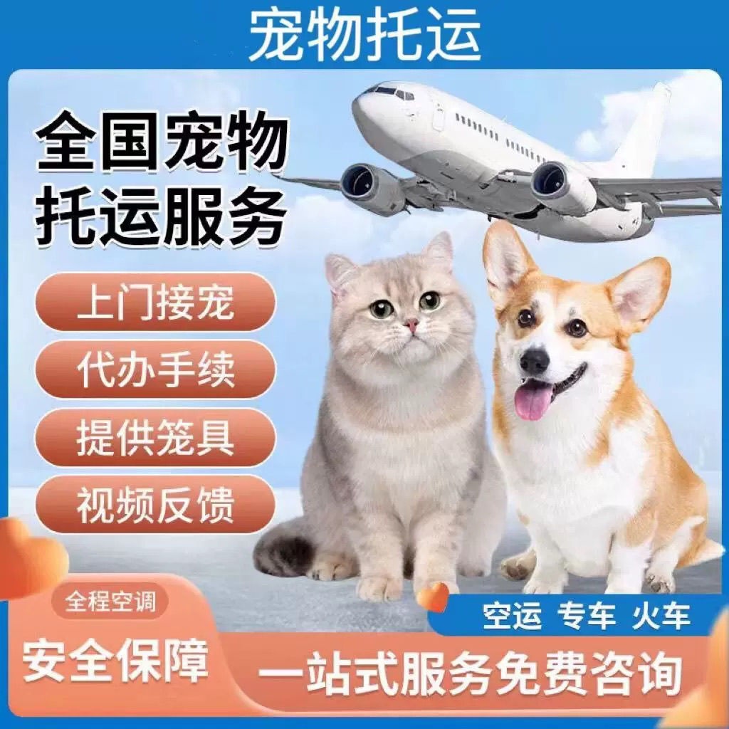 萌宠宠物托运(汕尾店)