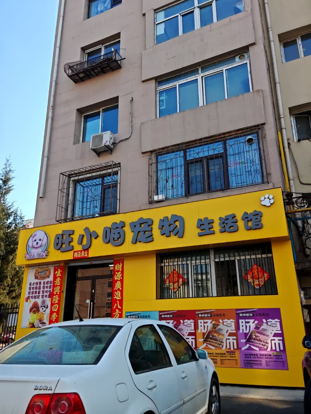 旺小喵宠物生活馆(吉化武汉路北小区店)