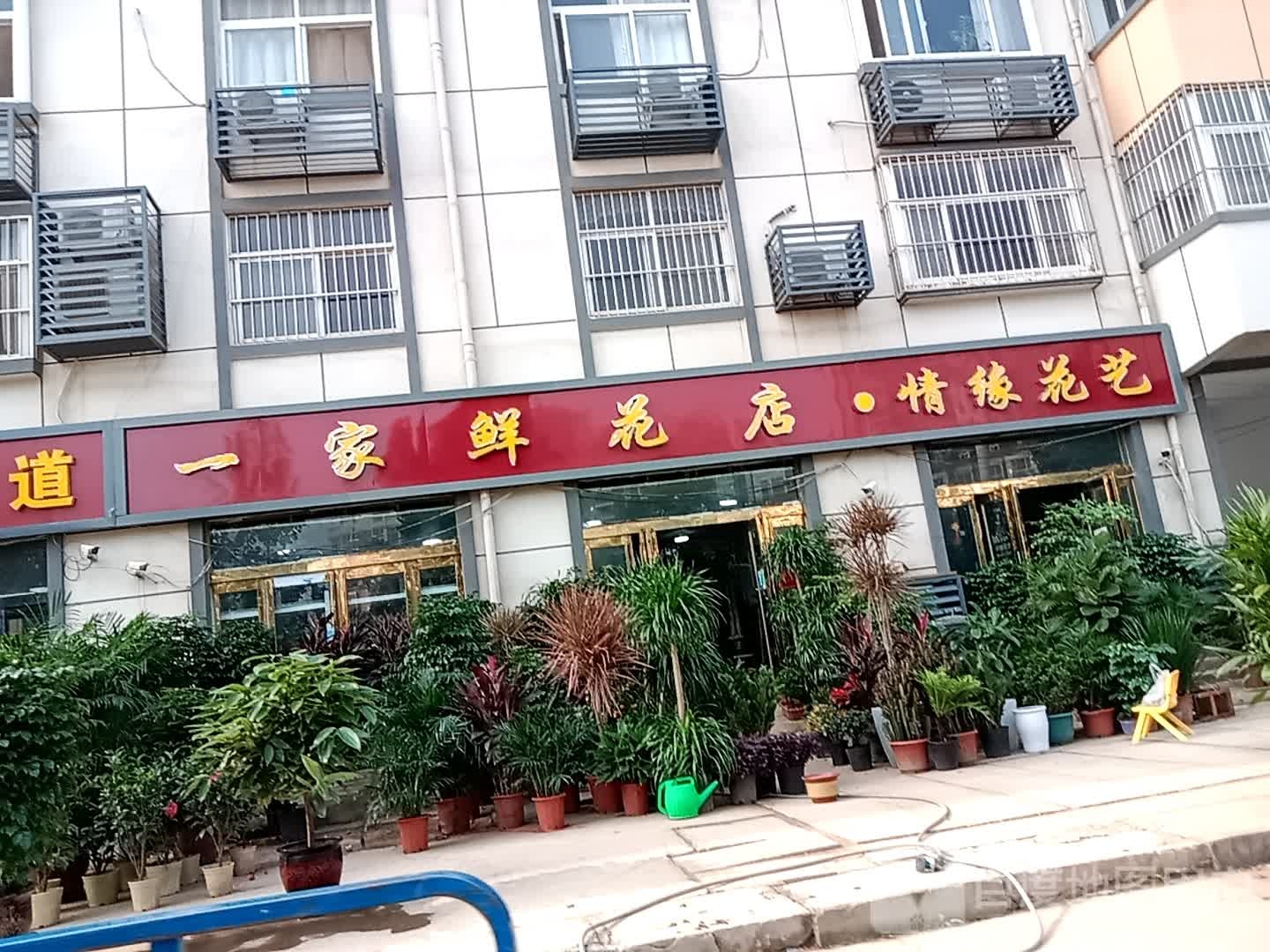 一家鲜花店