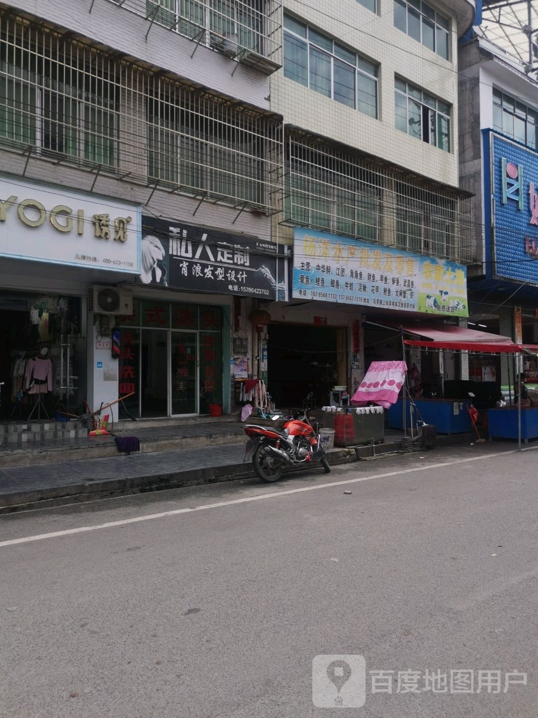 杨洋水产批发及零售