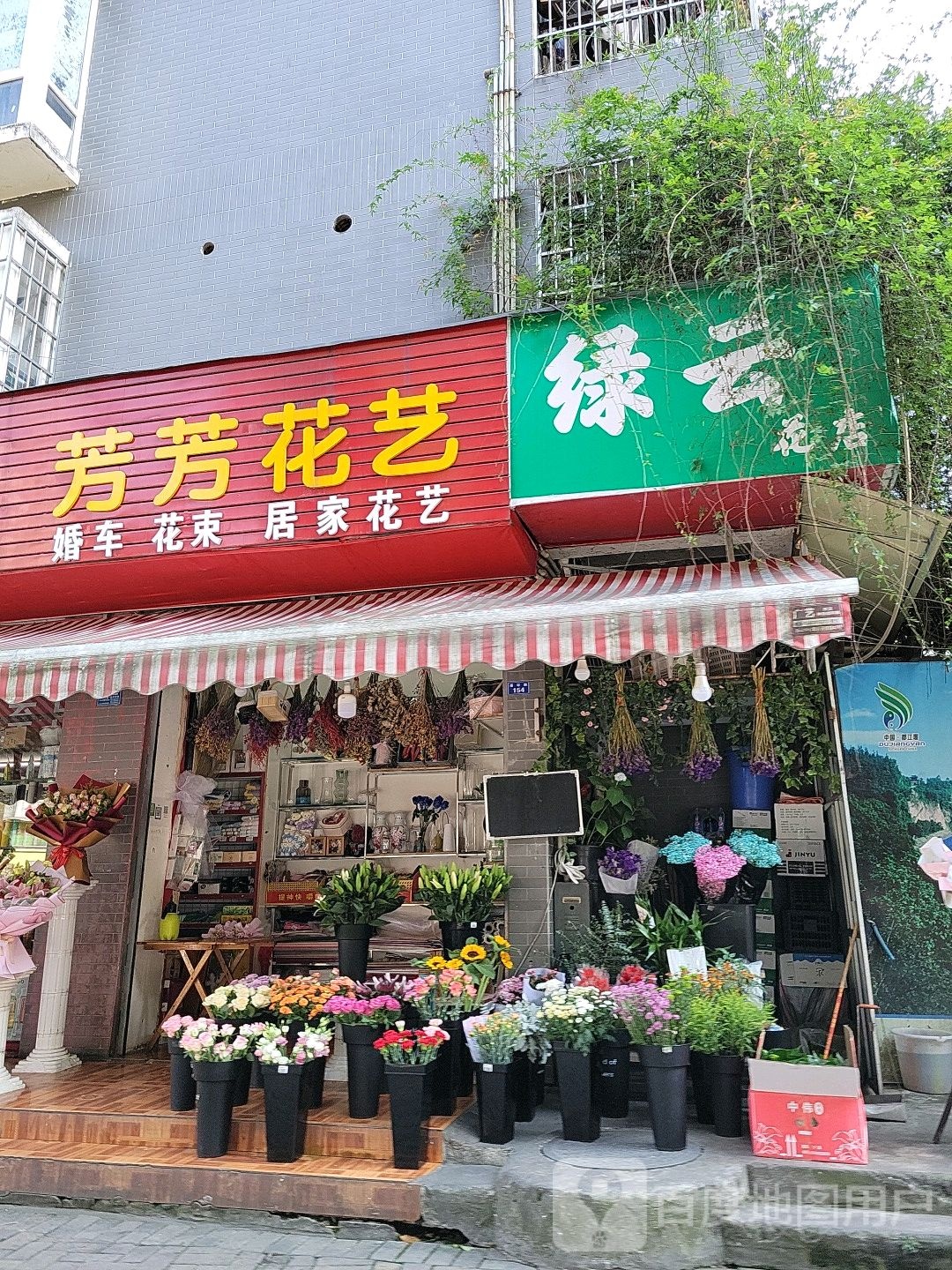 绿云花店