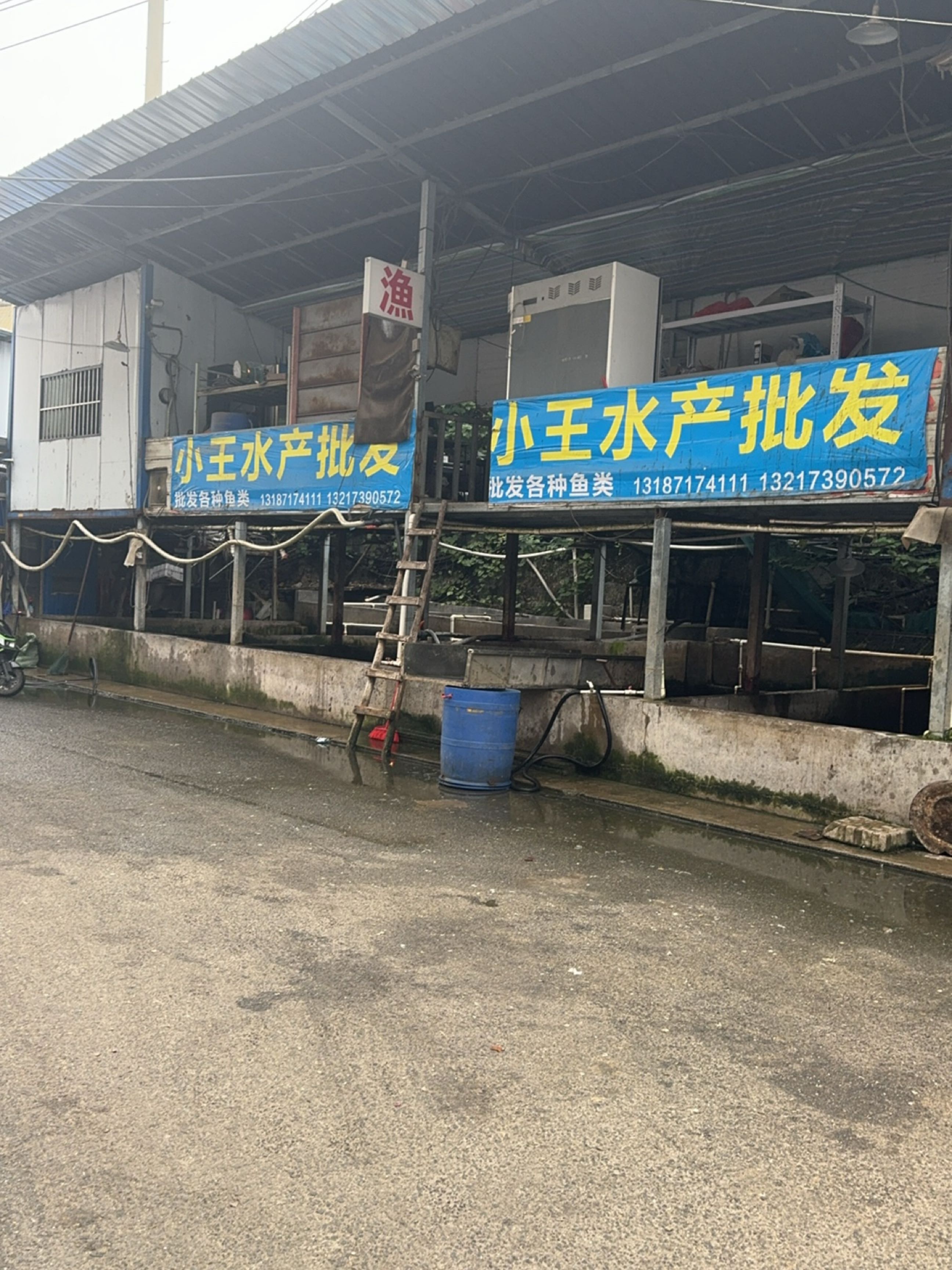 金旺农贸市场小王水产批发